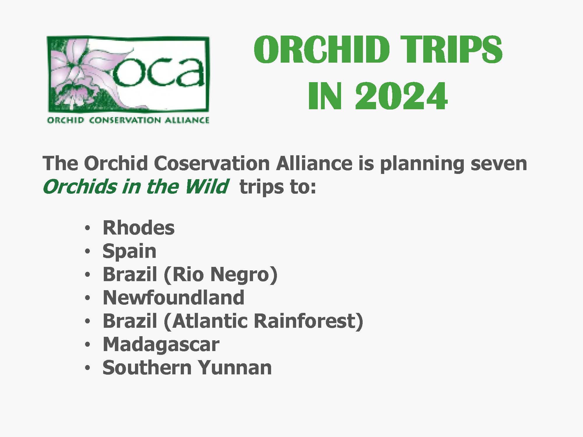 orchid trips poster