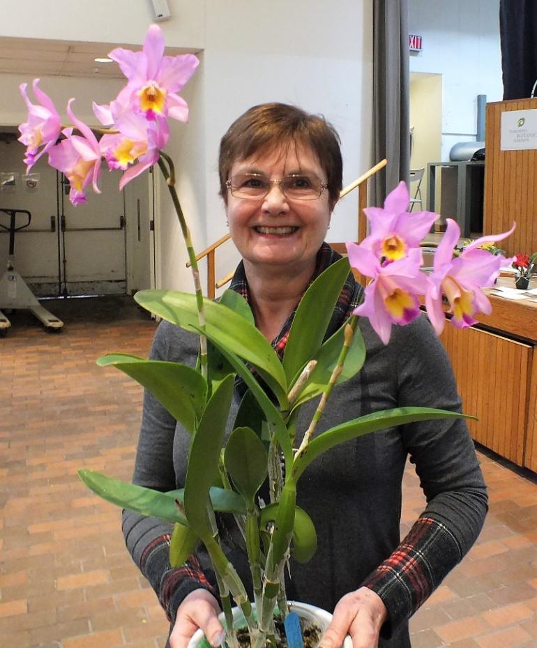 Southern Ontario Orchid Society Annual Show Photo Gallery